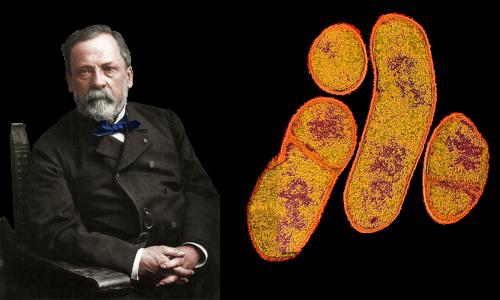 louis-pasteur-1